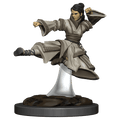 D&D: Icons of the Realms - Human Monk Female - 
