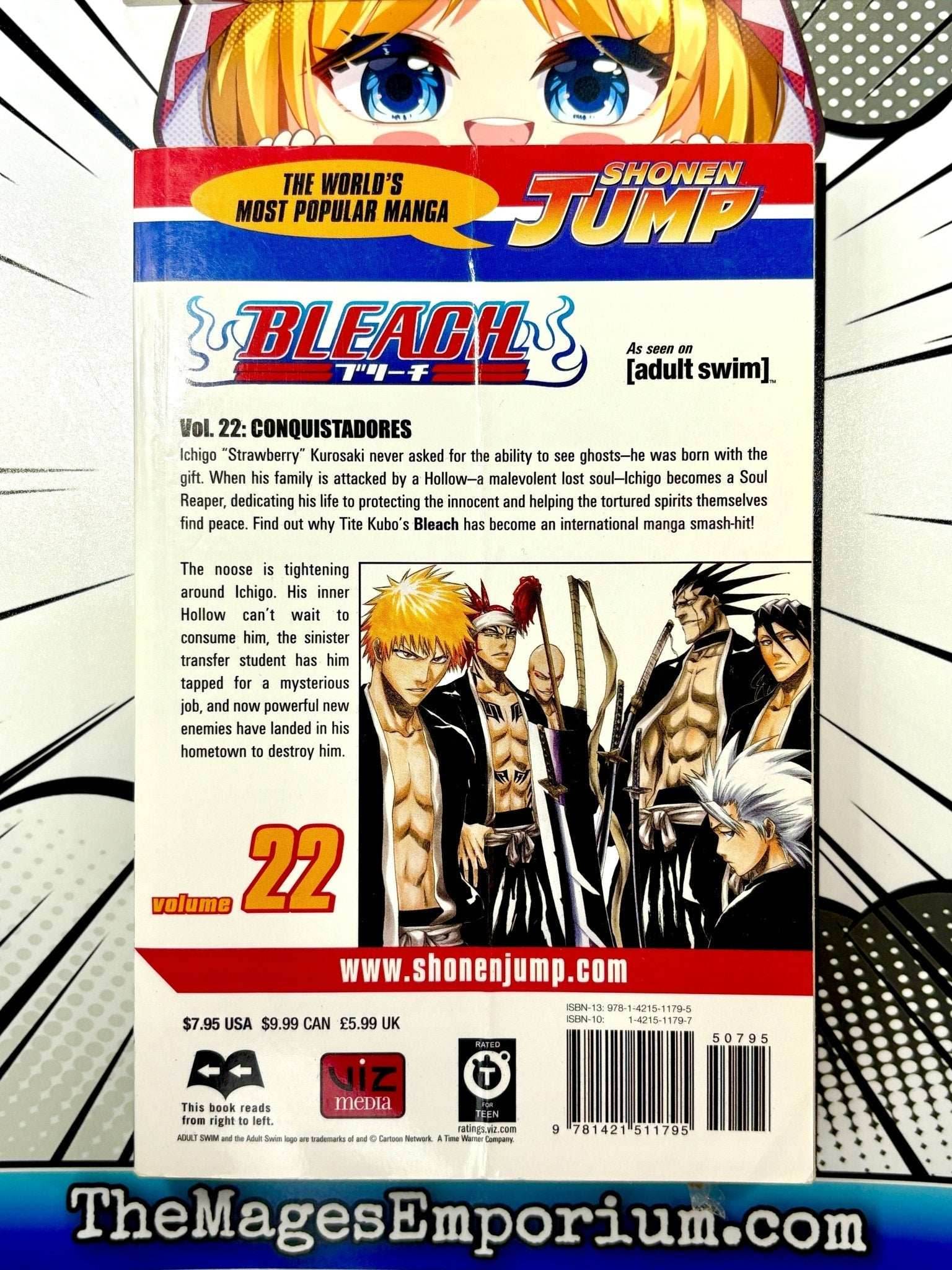 Bleach Vol 22 - 