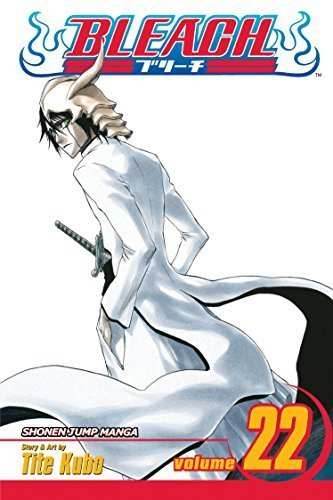 Bleach Vol 22 - 