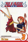 Bleach Vol 3 - 