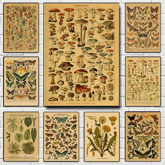 Botanical/Insects poster