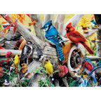 Audubon - Backyard Birds 1000 Piece Jigsaw Puzzle