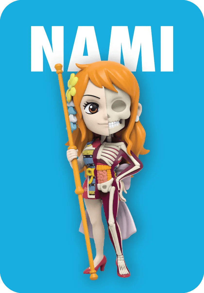 Freeny’s Hidden Dissectibles: One Piece (Ladies Edition) Blind Box (1 Blind Box) - 