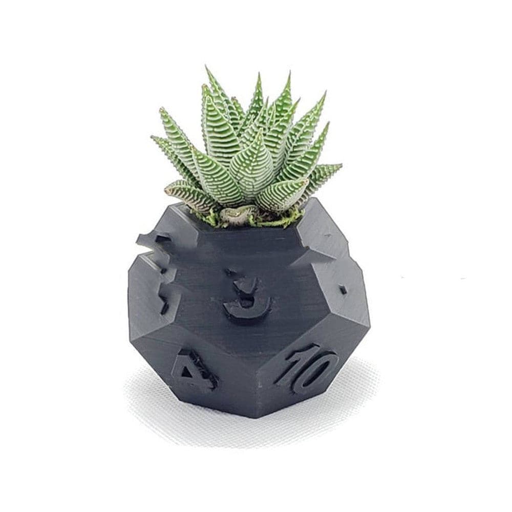 3D Printed Plant Pot Table Top RPG Dice Succulent Planter Set Home Decoration Multifunction Garden Flower Pot-DungeonDice1