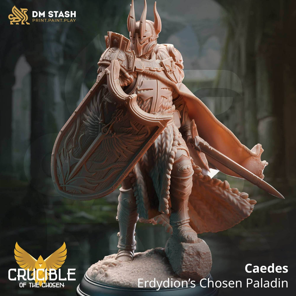 Caedes, Erdydion's Chosen Paladin (Male Paladin) - 32mm Scale