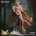 Caedes, Erdydion's Chosen Paladin (Male Paladin) - 32mm Scale