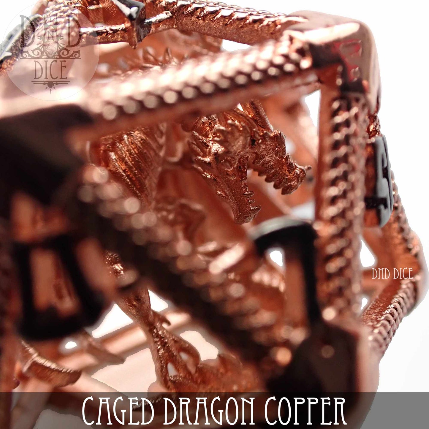 Caged Dragon D20 (6 Colors)