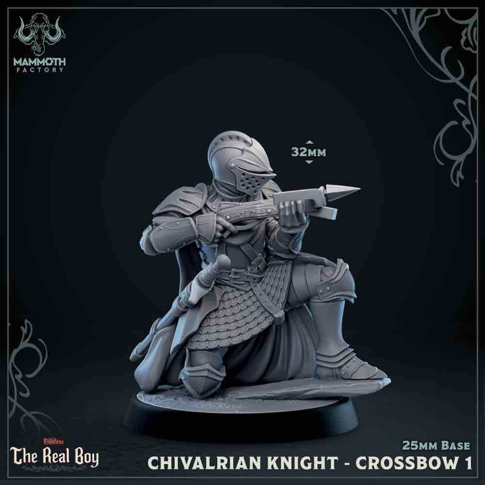 Chivalrian Knight with Crossbow 1 (Paladin) - 