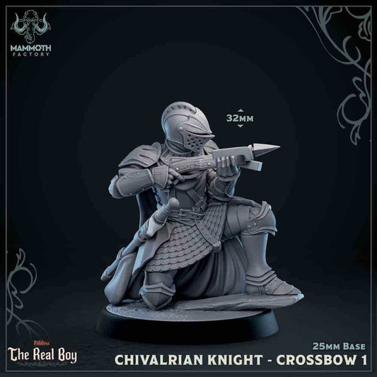 Chivalrian Knight with Crossbow 1 (Paladin) - 