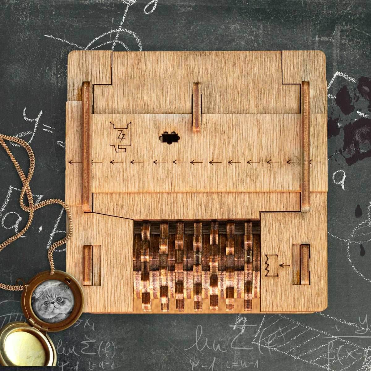 Cluebox: Escape Room In a Box - Schrodinger's cat - 