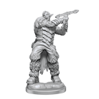 Critical Role: Ashari Stoneguard & Ashari Skydancer - 