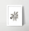 Lily Wall Art Print - White and Black / 4x6