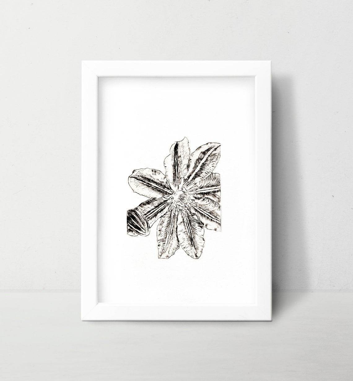 Lily Wall Art Print - White and Black / 4x6