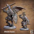 Draconian Shock Troop: Sculpt D (Male Dragonborn Soldier) - Winged / Shield / Sword