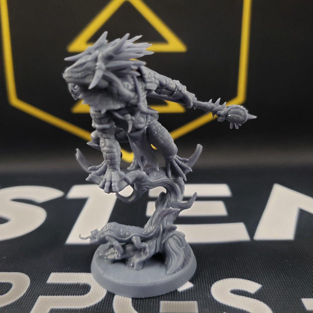 Drulsk, the Mire-Speaker (Male Lizardfolk Druid)