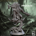Drulsk, the Mire-Speaker (Male Lizardfolk Druid) - 