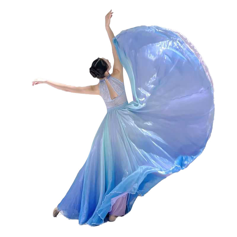 Women Ballet Skirts Chiffon Ballet Dress Tulle Skirt Dance Costumes Adult