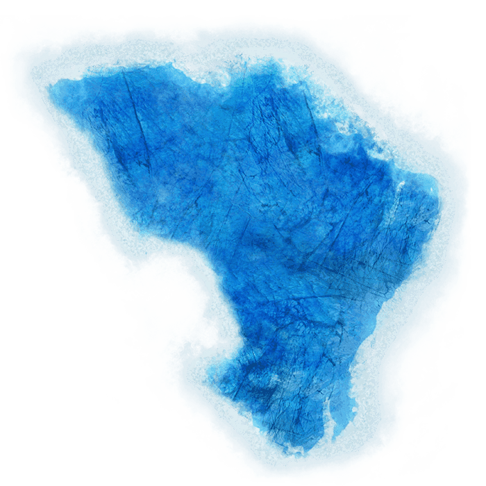 Arctic Forests - 
