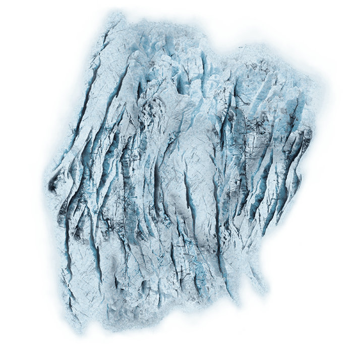 Arctic Forests - 