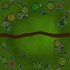 Forbidden Forest - 