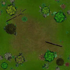 Forbidden Forest - 