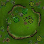 Forbidden Forest - 