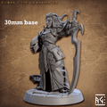 Eliora, the Dawnbringer (Female High Elf Paladin) - 