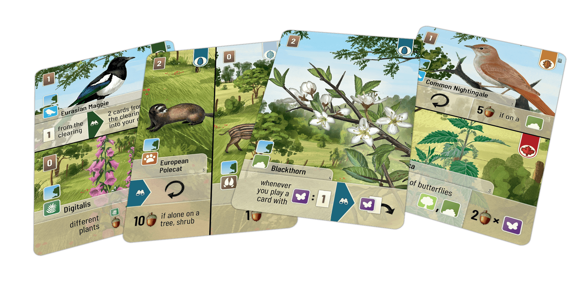 Forest Shuffle: Woodland Edge - 