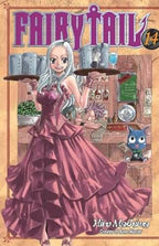 Fairy Tail Vol 14 Five Below Cover - 