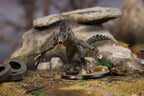 Fallout: Wasteland Warfare - Creatures - Deathclaw - 