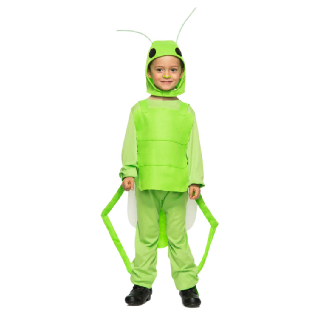 Child Green Grasshopper Costume