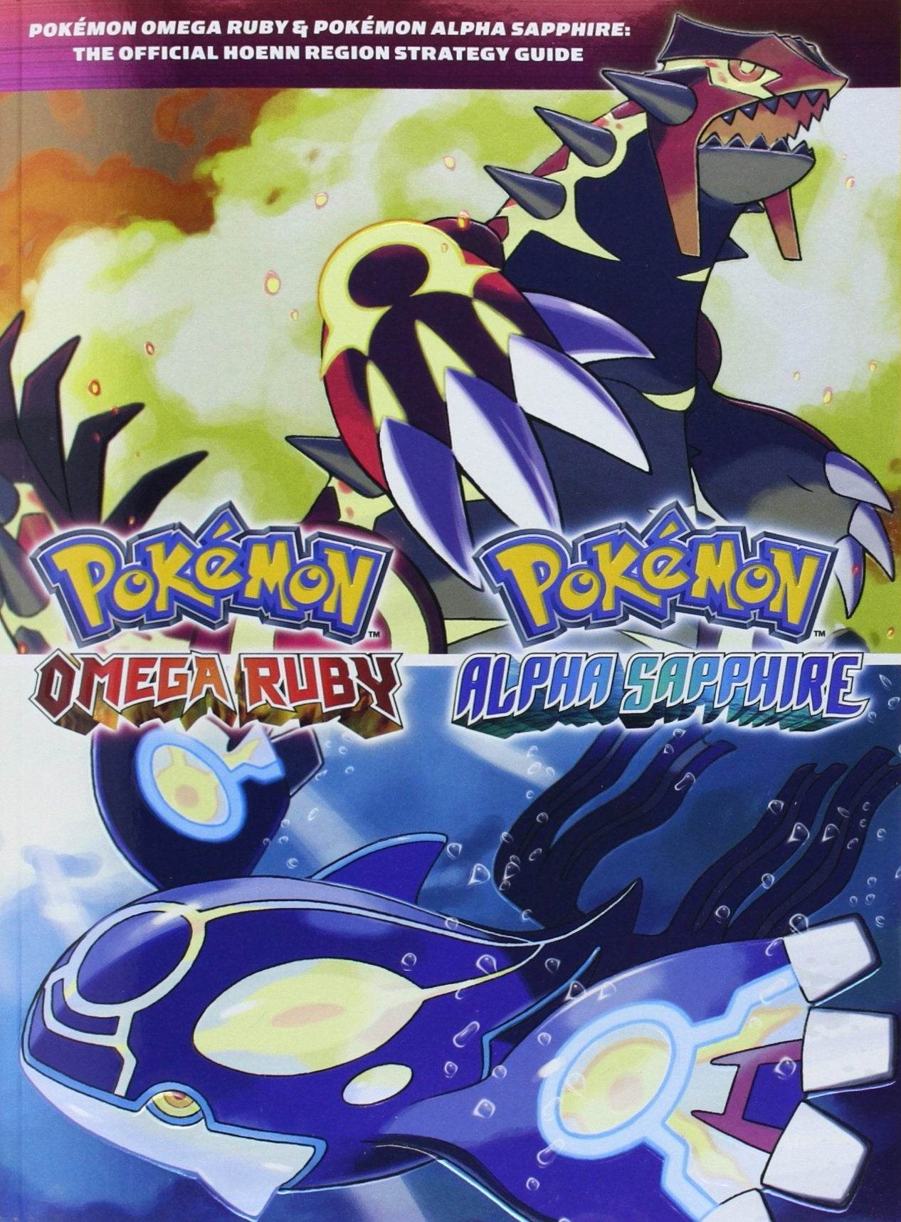 Pokemon Omega Ruby Bundle [Game + Strategy Guide] (Nintendo 3DS) - Game Manual Only