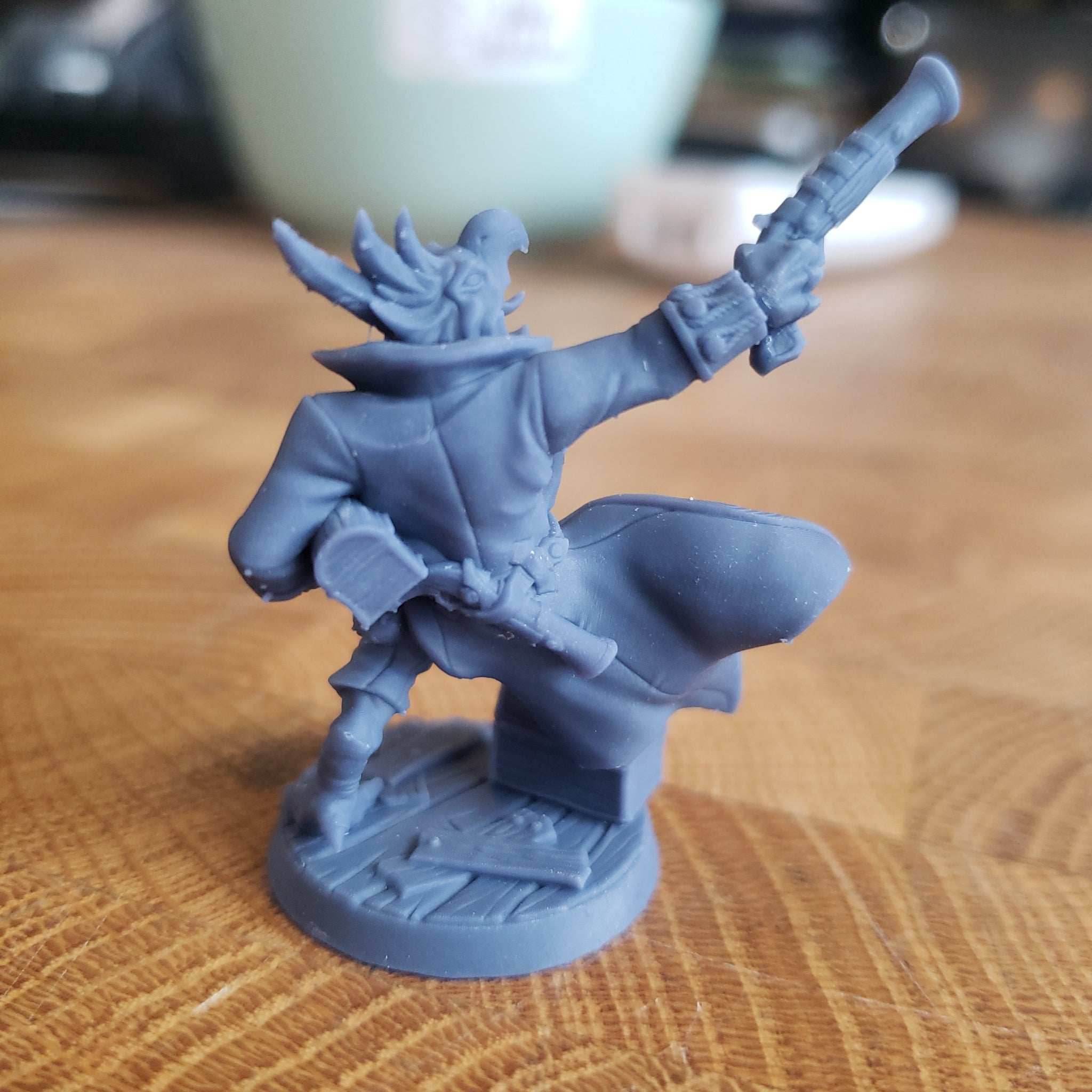 Gyros Shipwrecker (Bird Pirate) - With Flintlock