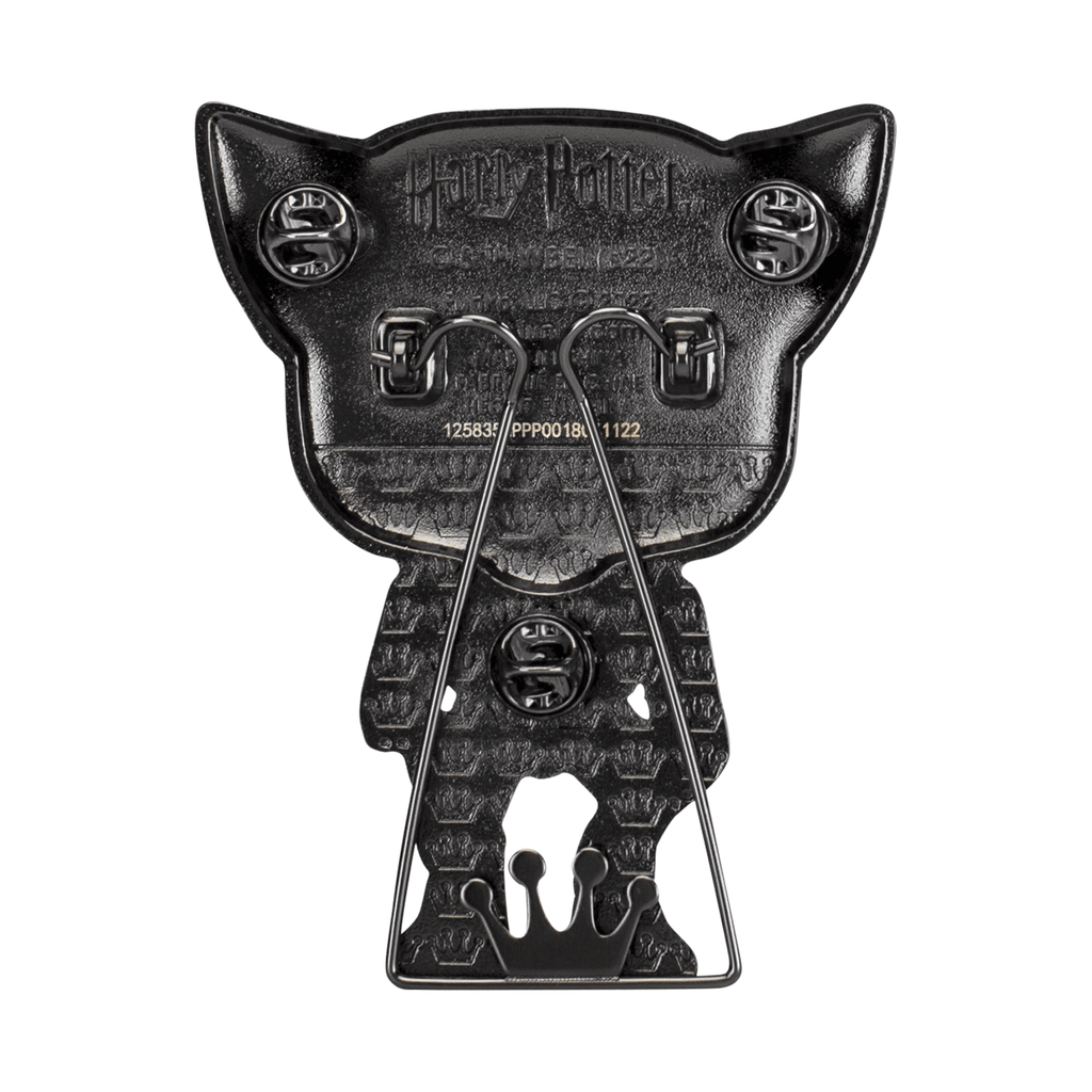 Funko Pop! Sized Pins: Harry Potter - Remus Lupin Pin - 