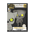 Funko Pop! Sized Pins: Harry Potter - Remus Lupin Pin - 