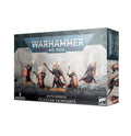 Warhammer 40k Adepta Sororitas: Celestian Sacresants - 