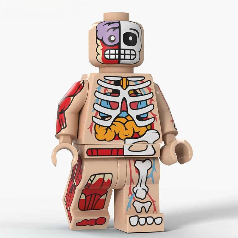 Human Body Guy Visible Anatomy Man Skin Color Lego Minifigures custom toys