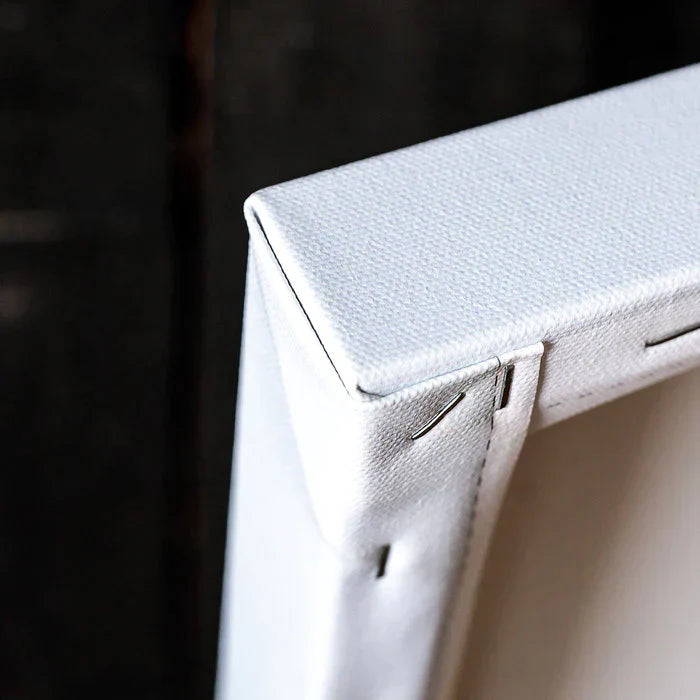 Bespin Cloud City Star Wars Canvas