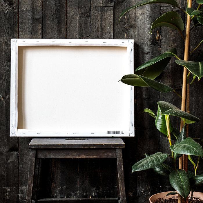 Endor Forest Moon Star Wars Canvas Art