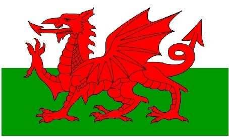 Welsh Dragon Celtic Necklace - 18