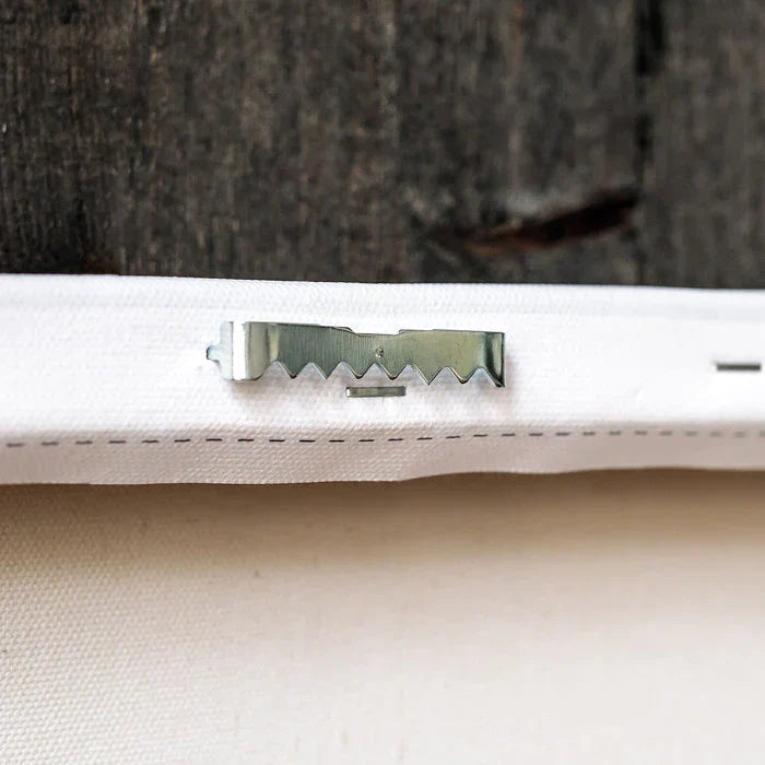 Dagobah Swamp Star Wars Canvas