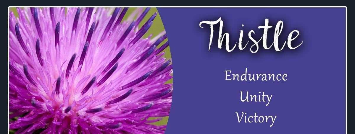 Branka Thistle Earrings - 