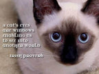 Imperial Cat Earrings - 