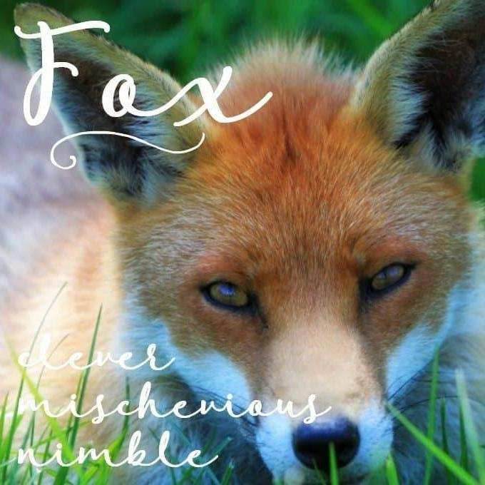 Celtic Forest Fox Necklace - 18