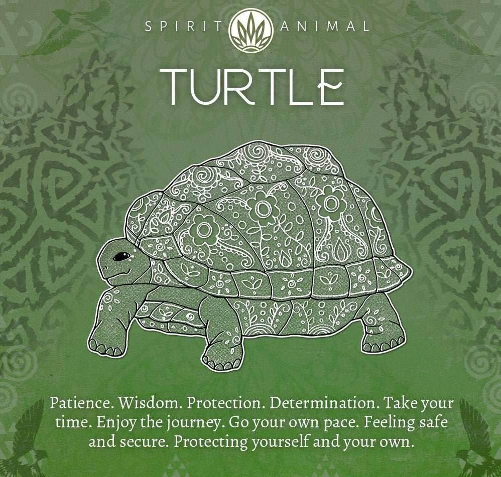Blooming Turtle Earrings - 