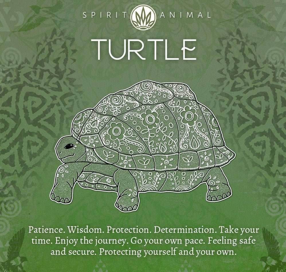 Shiva Shell Turtle Necklace - 18
