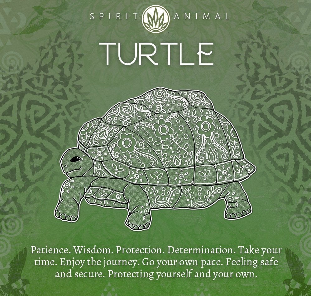 Farraige Turtle Love Earrings