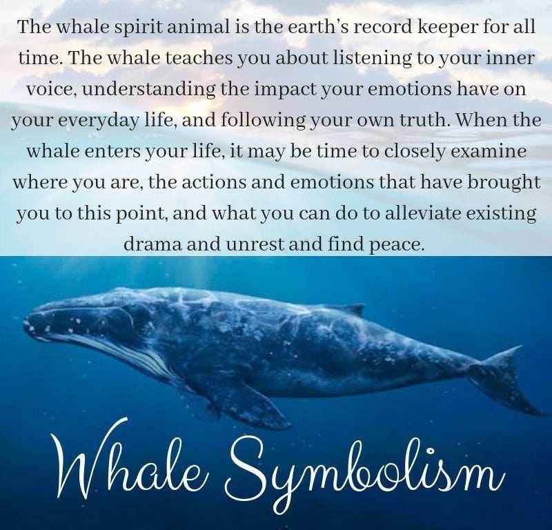 Whale Necklace - mother of pearl