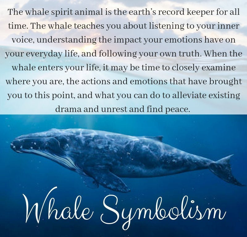 Ocean Whale Necklace