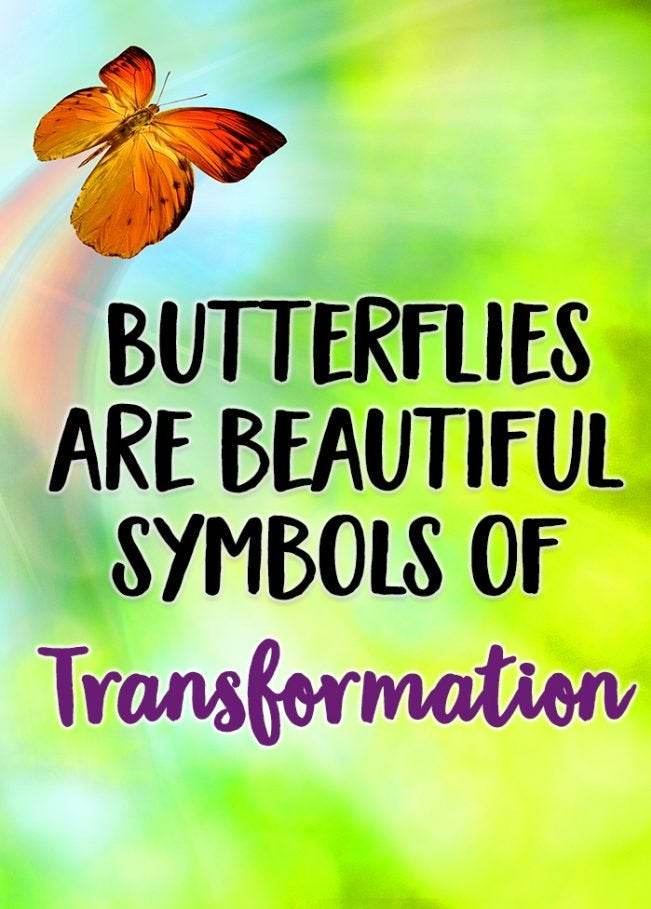 Sara Butterfly Necklace - blue abalone shell